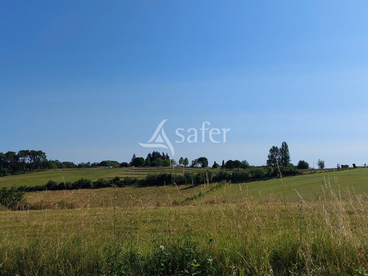 Explotación ovina En venta Dordoña