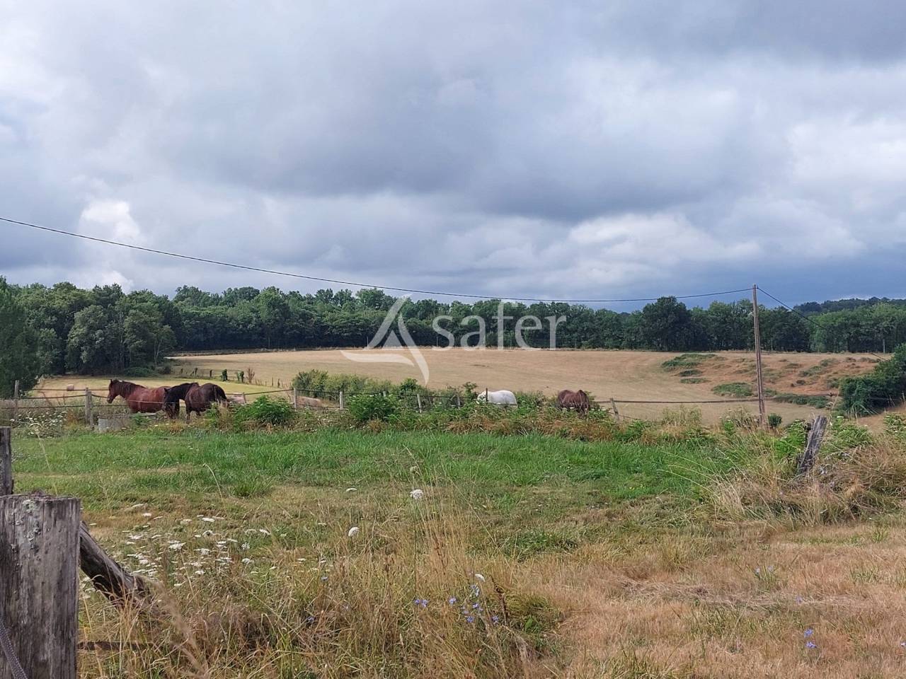 Explotación ovina En venta Dordoña