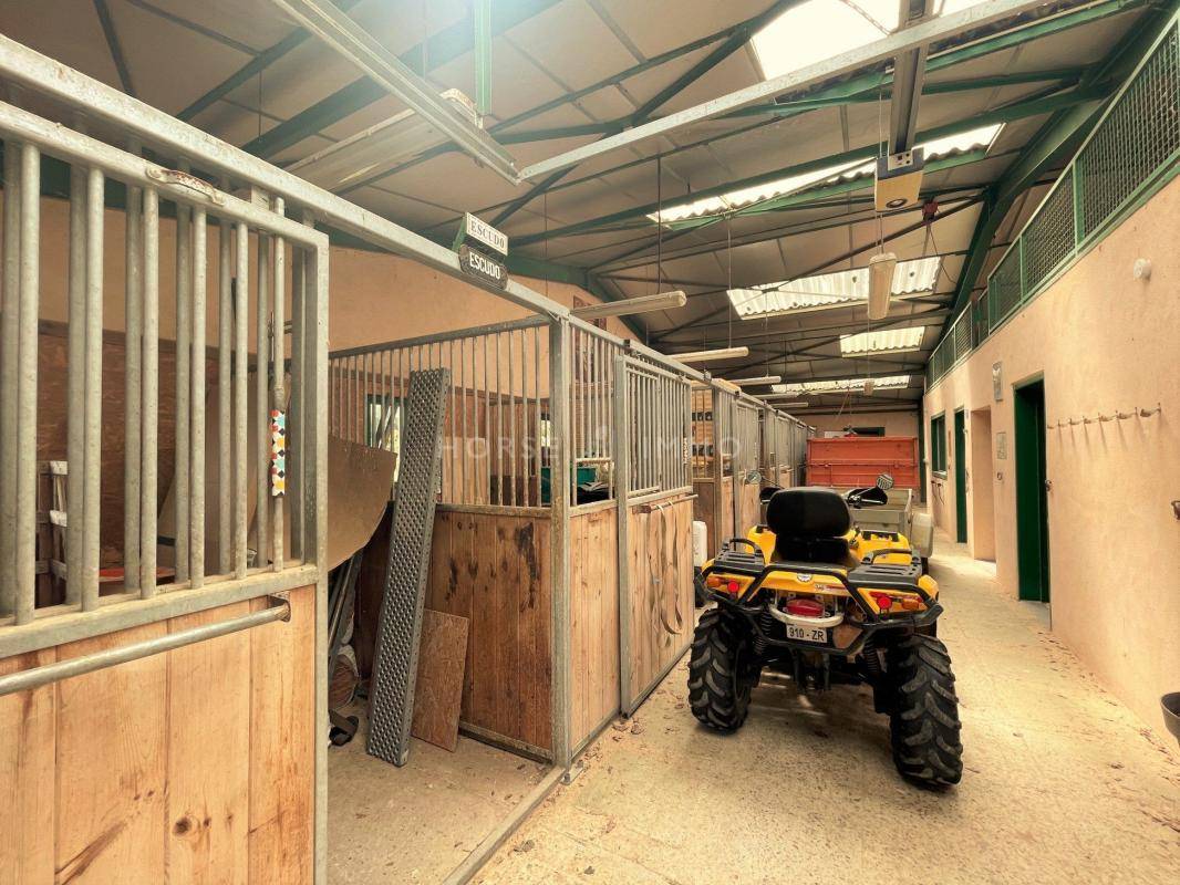 Propiedad ecuestre En venta Indre y Loira