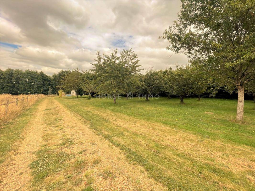 Propiedad ecuestre En venta Indre y Loira