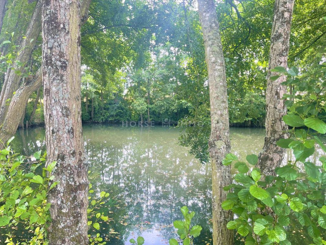 Propiedad ecuestre En venta Indre y Loira