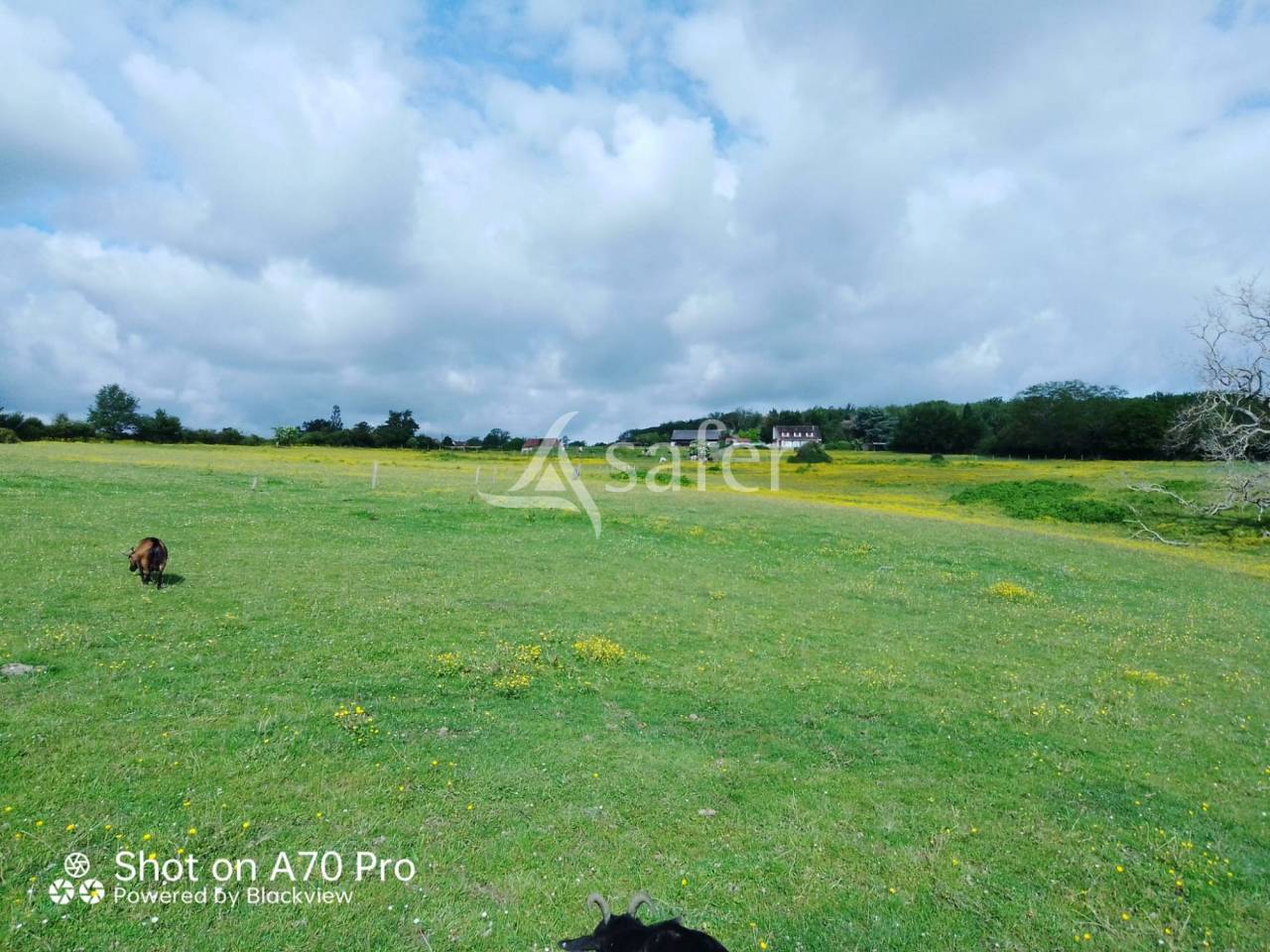 Propiedad ecuestre En venta Allier