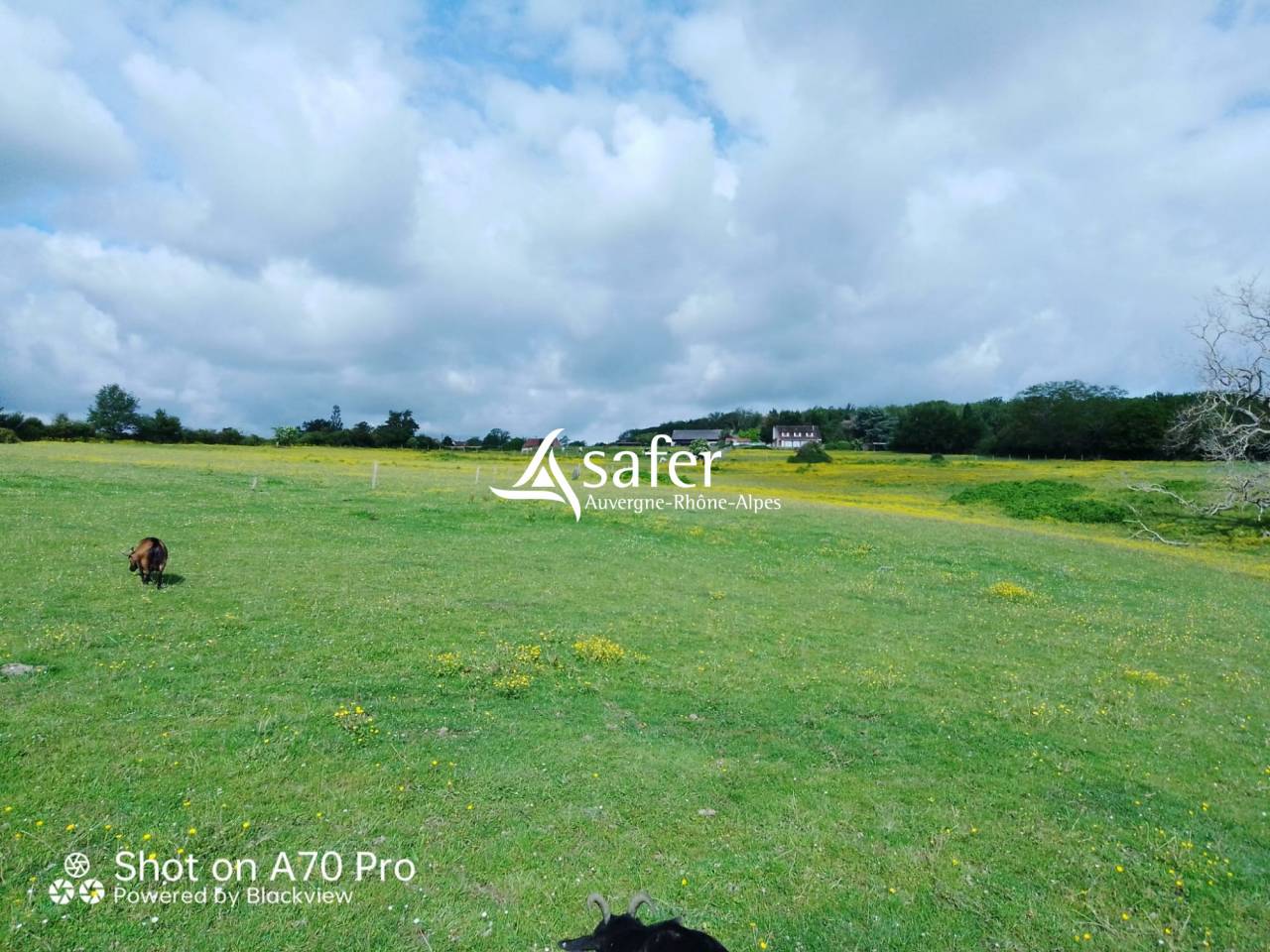 Propiedad ecuestre En venta Allier