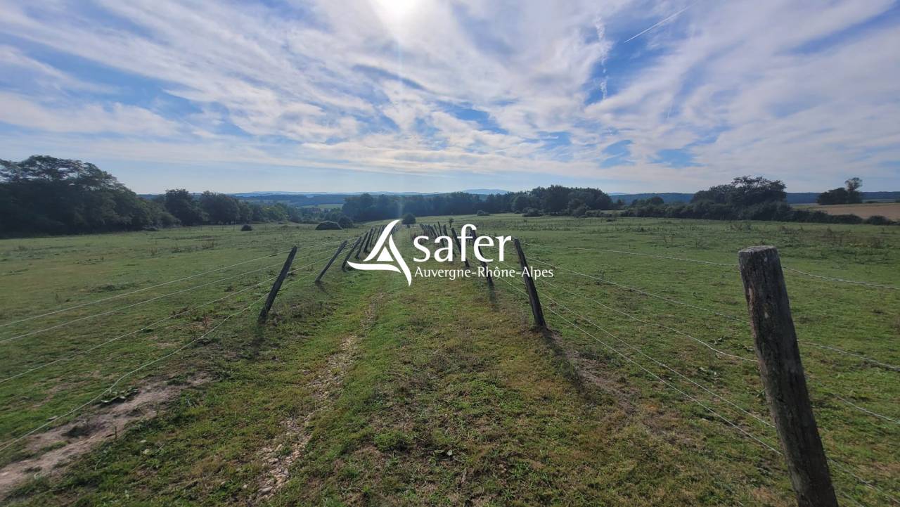 Propiedad ecuestre En venta Allier