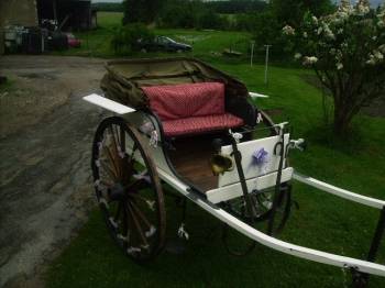 Coche enganches - Calesa Fenix Carriages  