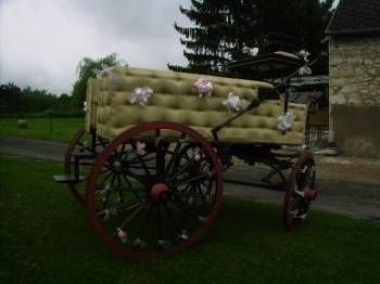 Coche enganches - Calesa Fenix Carriages  
