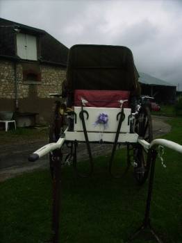 Coche enganches - Calesa Fenix Carriages  