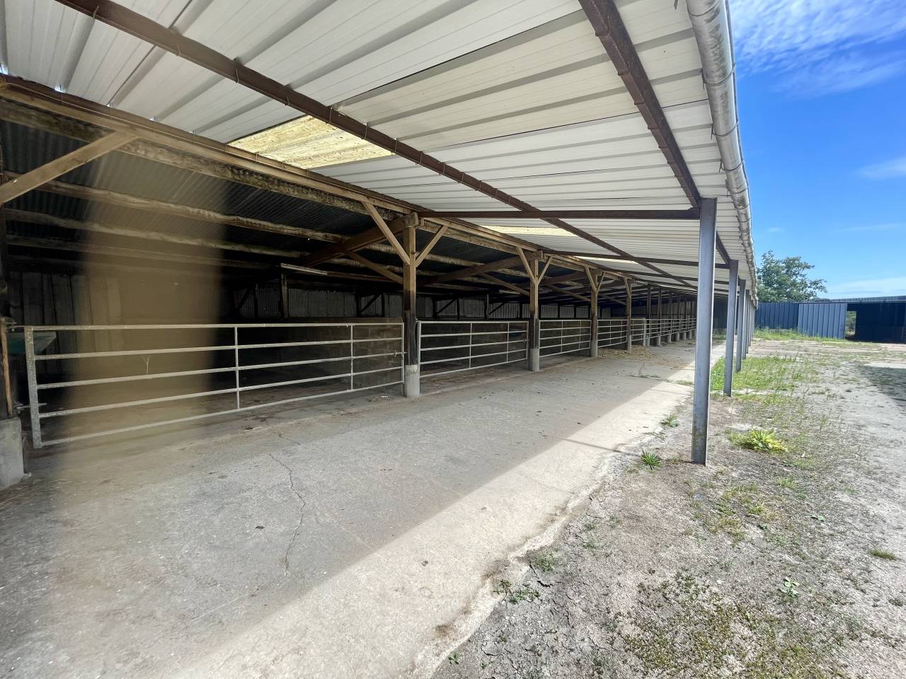 Acaballadero En venta Orne