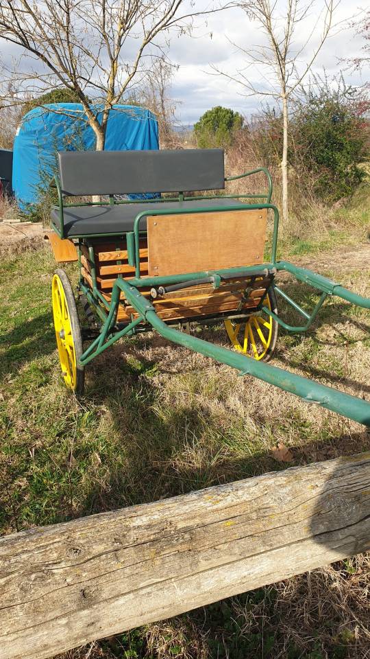 Coche enganches - Sulky   