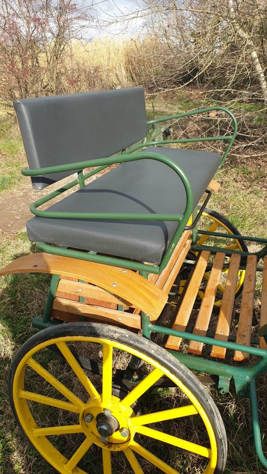 Coche enganches - Sulky   