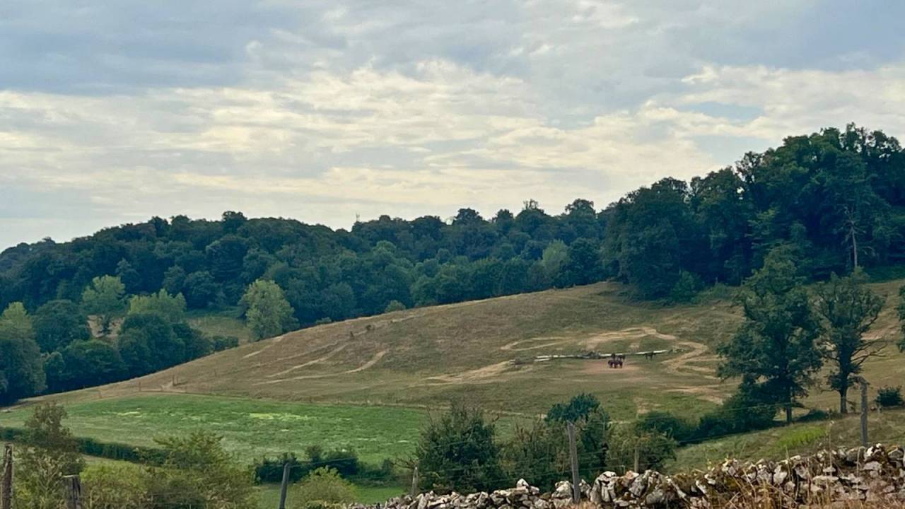 Propiedad ecuestre En venta Lot