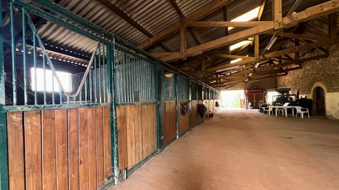 Propiedad ecuestre En venta Lot