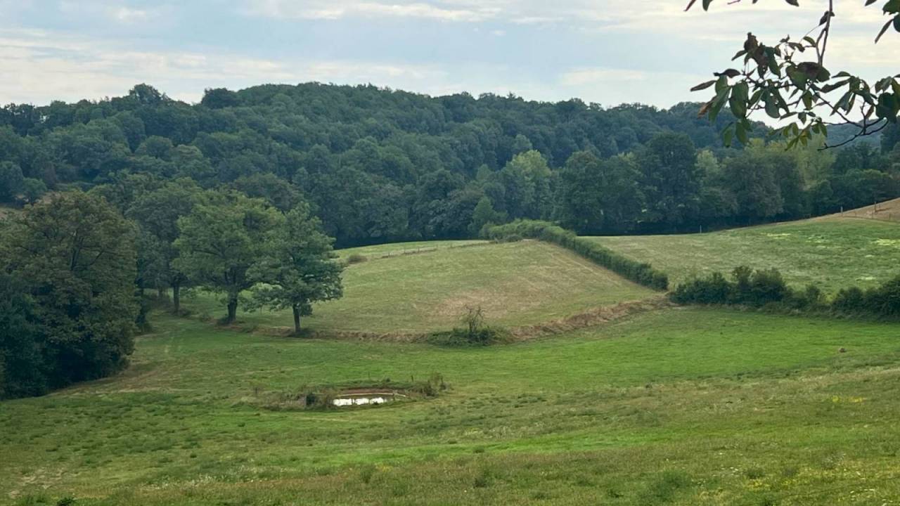 Propiedad ecuestre En venta Lot