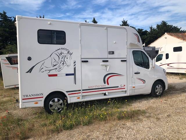 Furgoneta para caballos Trans Box New Svelto 3 2020 De segunda mano