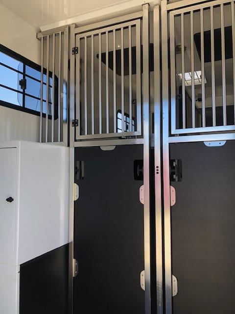 Furgoneta para caballos Trans Box New Svelto 3 2020 De segunda mano