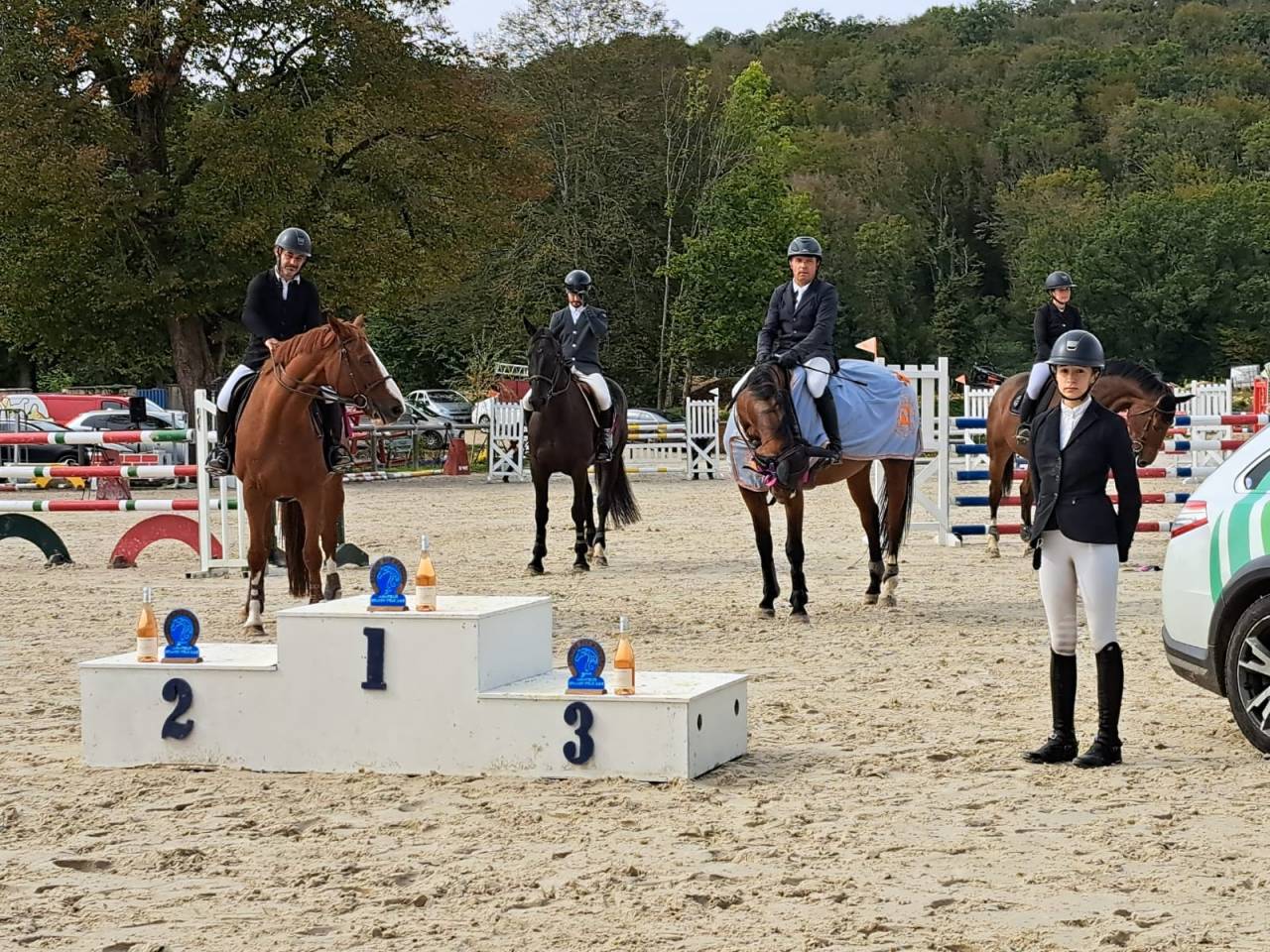 Caballo castrado Silla Franc&eacute;s En venta 2012 Bayo por KANNAN