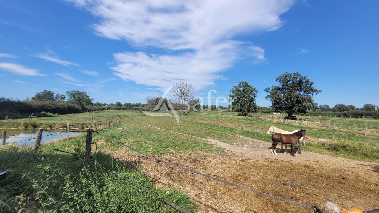 Propiedad ecuestre En venta Allier