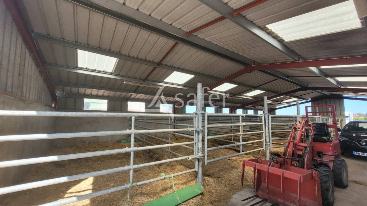 Propiedad ecuestre En venta Allier