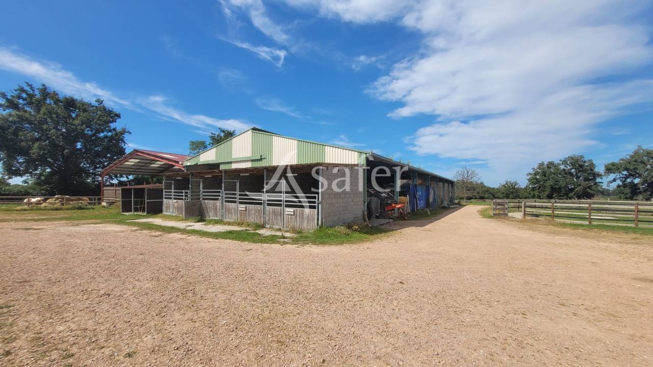 Propiedad ecuestre En venta Allier