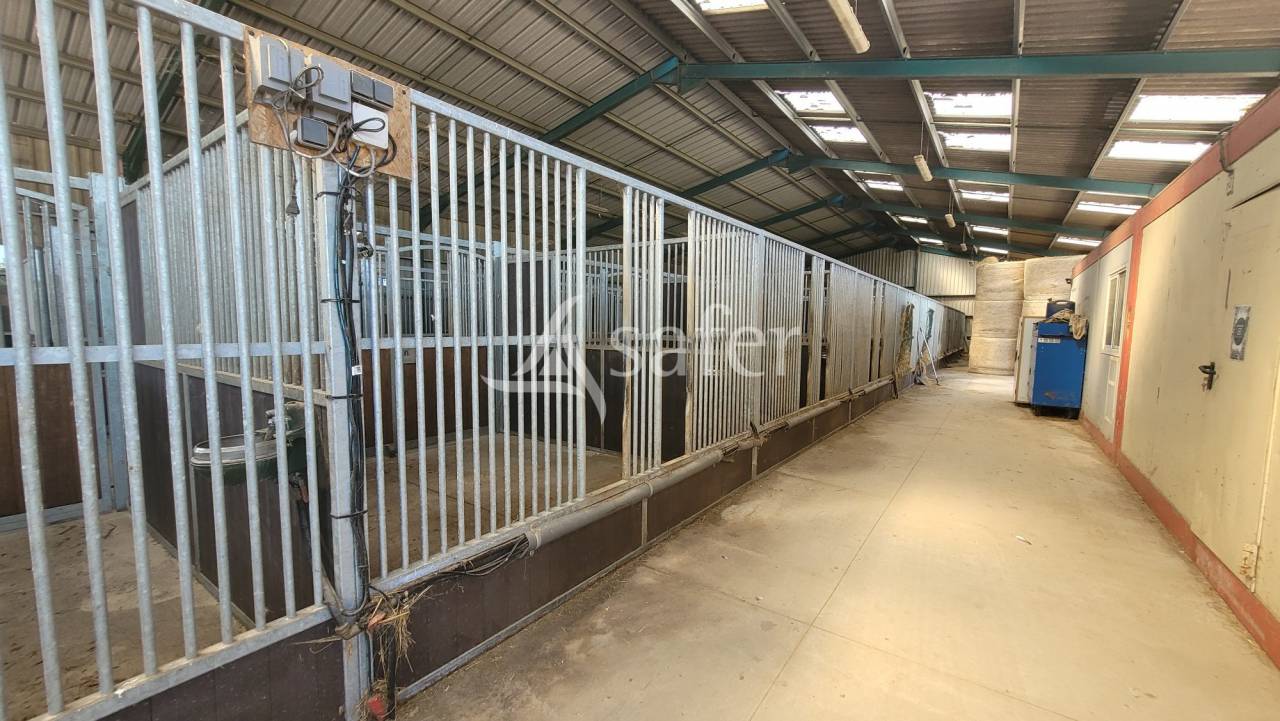 Propiedad ecuestre En venta Allier