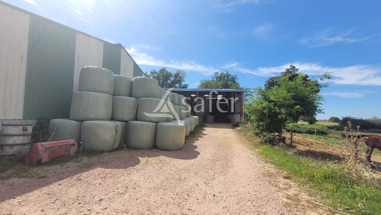 Propiedad ecuestre En venta Allier