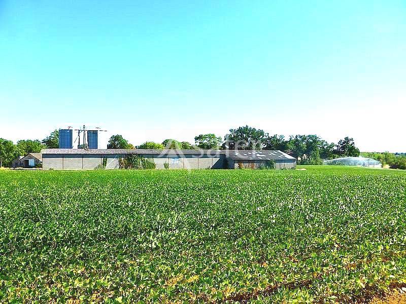 Explotación cerealista En venta Tarn y Garona