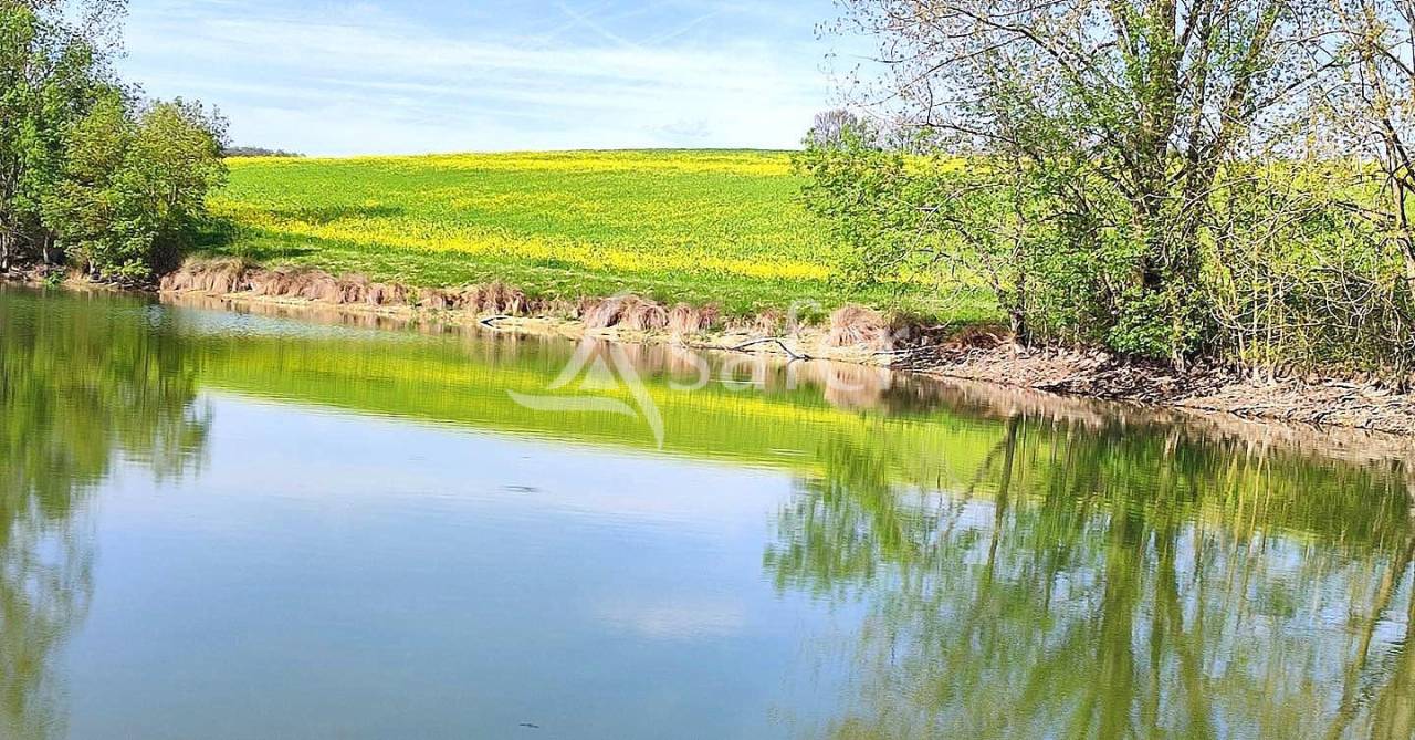 Explotación cerealista En venta Tarn y Garona