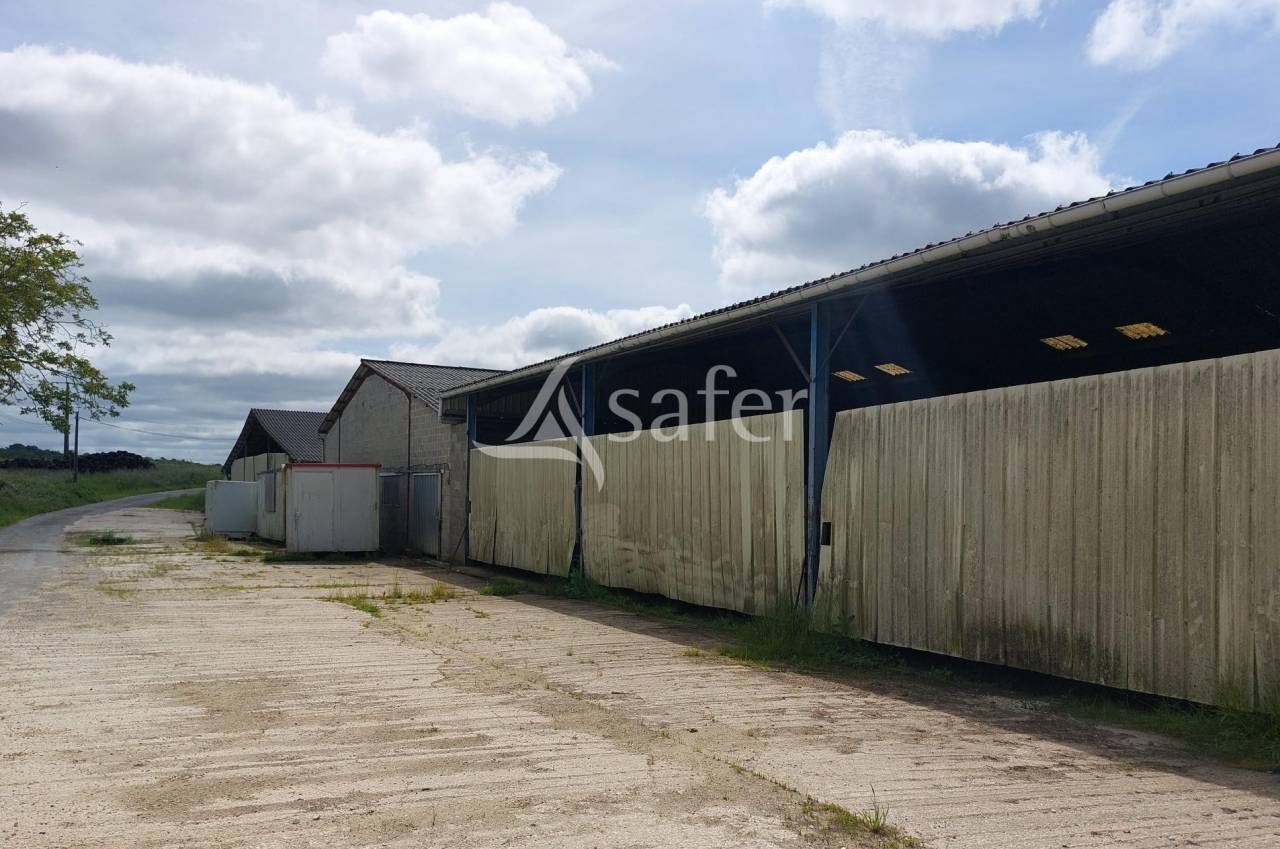 Explotación ovina En venta Dordoña