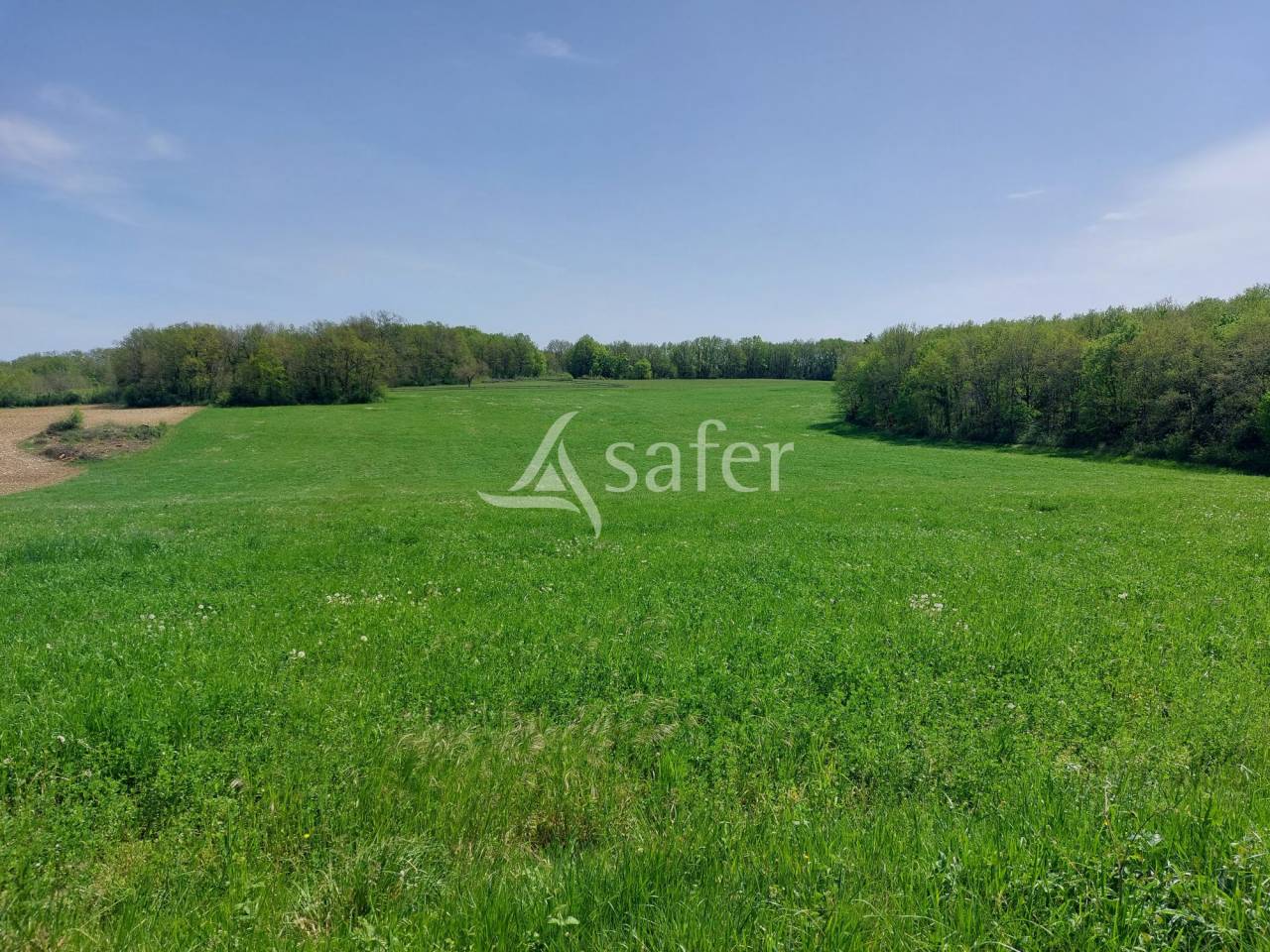 Explotación ovina En venta Dordoña