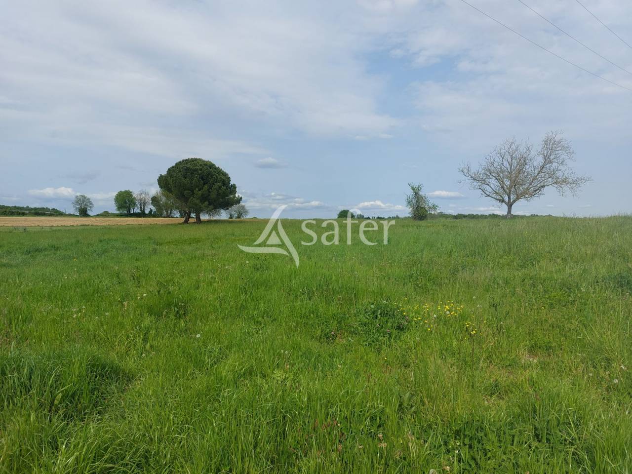 Explotación ovina En venta Dordoña