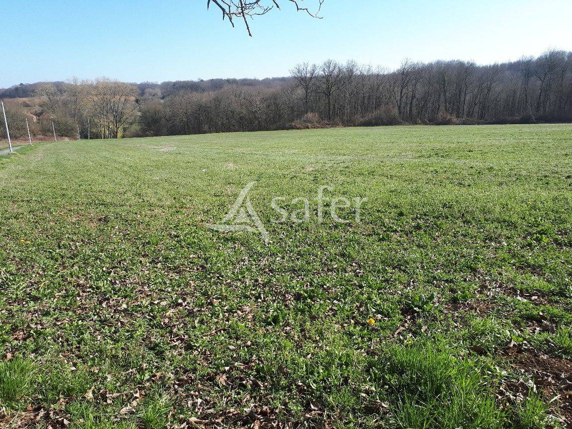 Explotación ovina En venta Dordoña