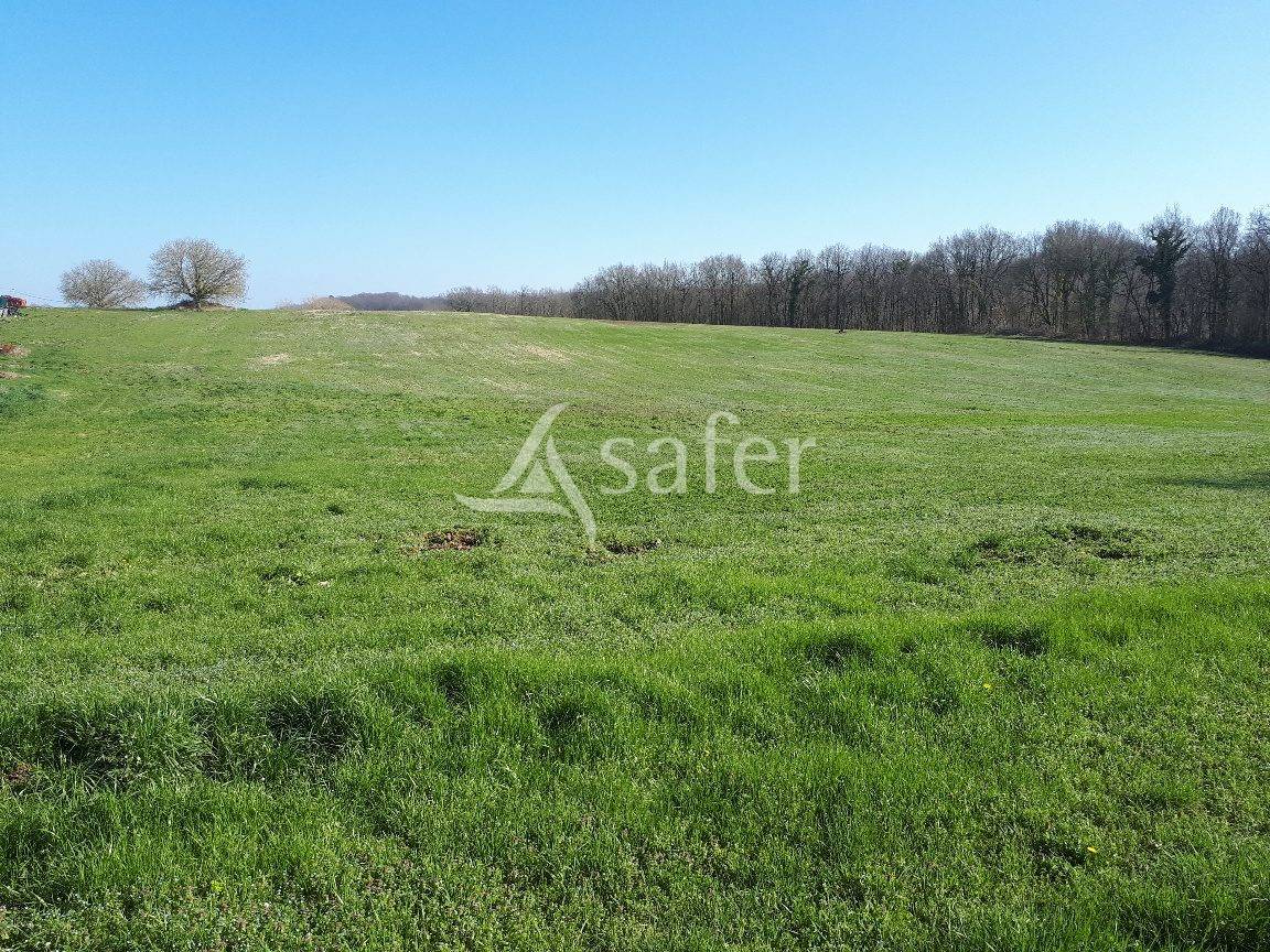 Explotación ovina En venta Dordoña