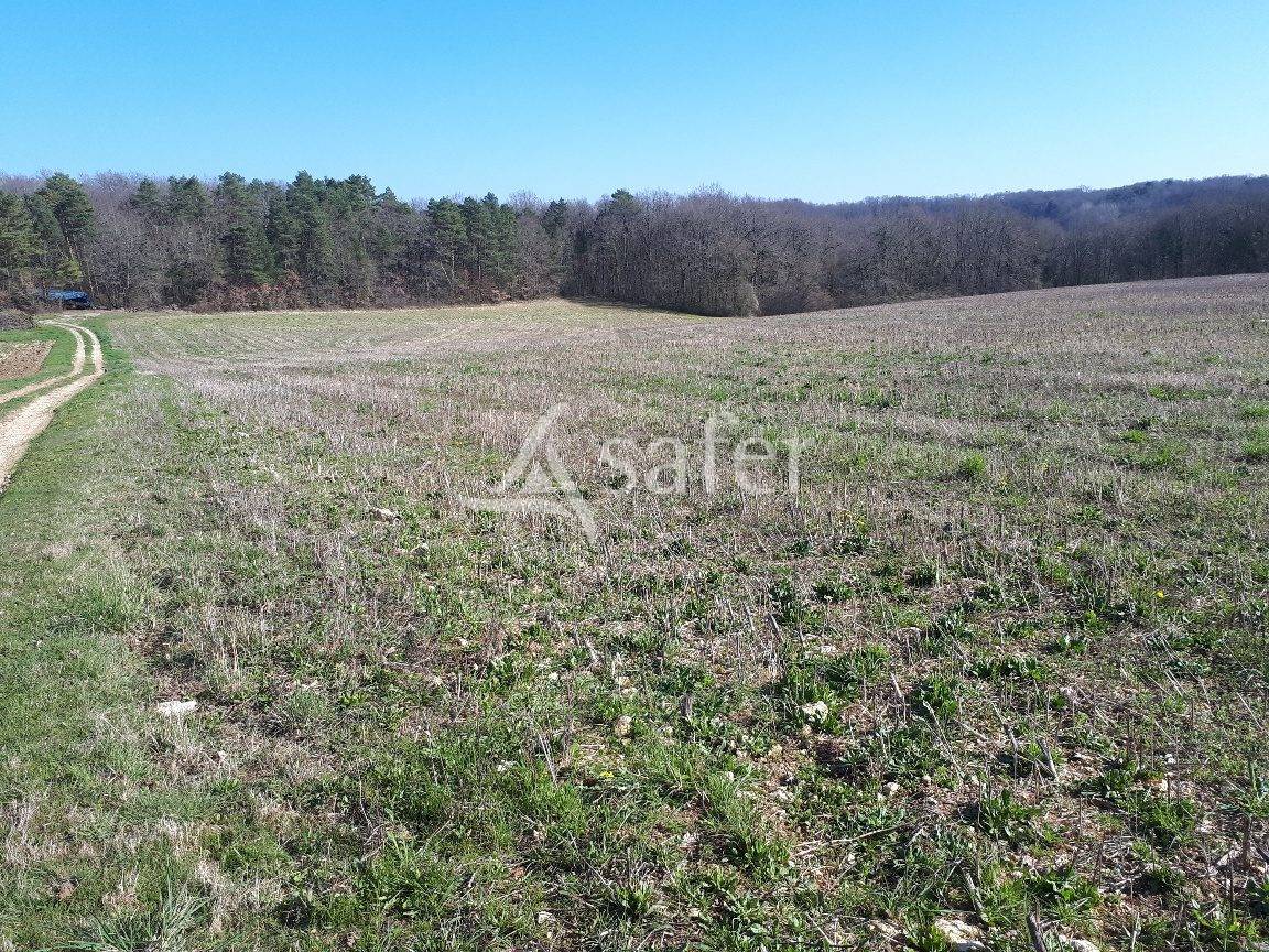 Explotación ovina En venta Dordoña