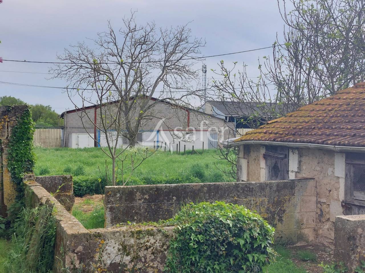 Explotación ovina En venta Dordoña