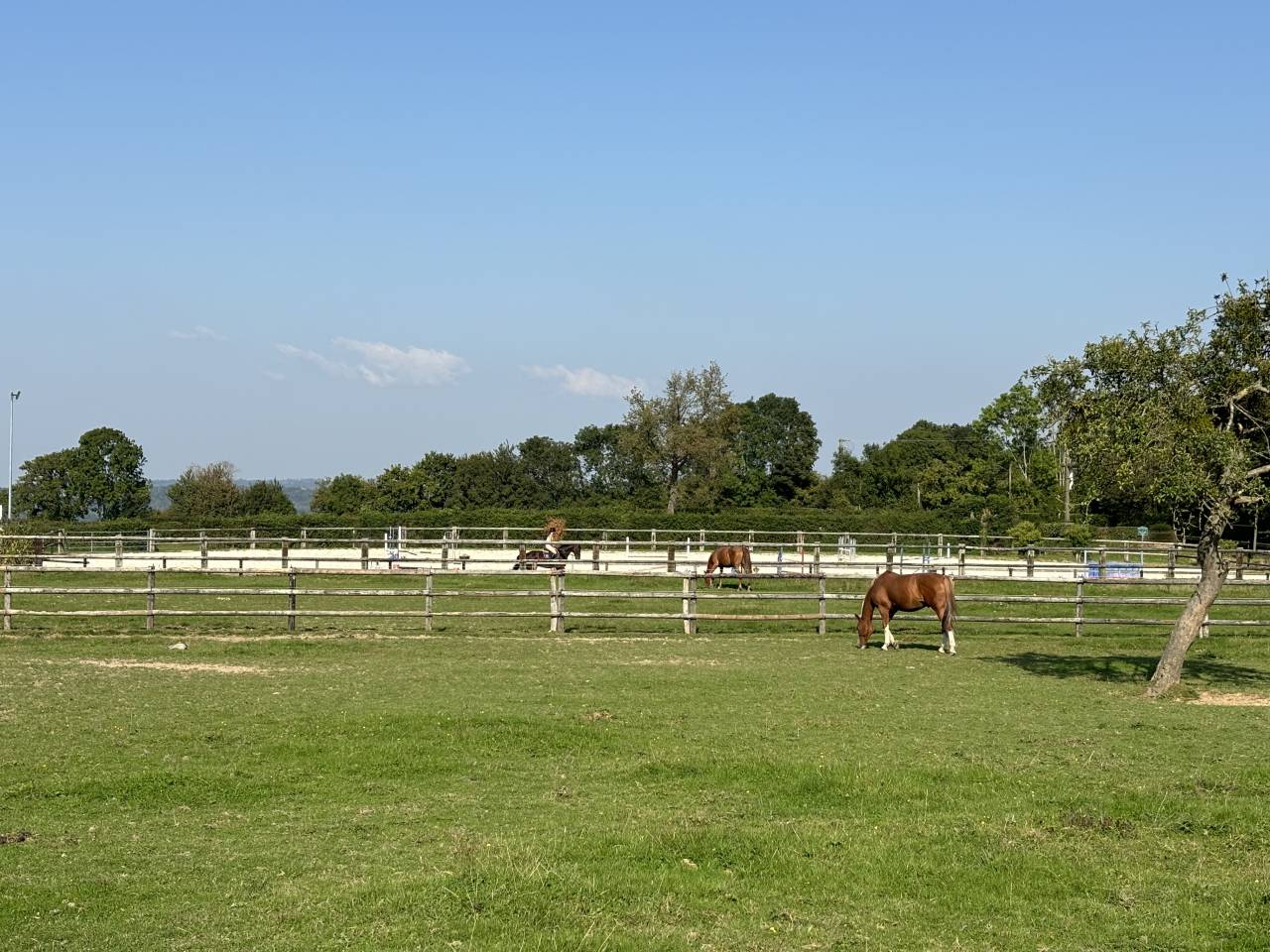 Acaballadero En venta Calvados