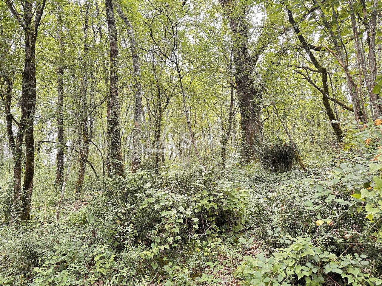 Propiedad rural En venta Charente