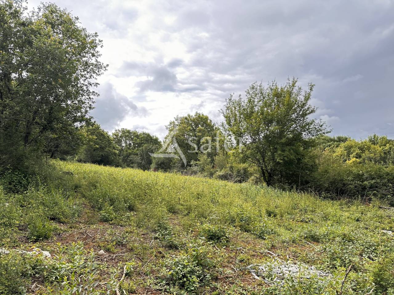 Propiedad rural En venta Charente