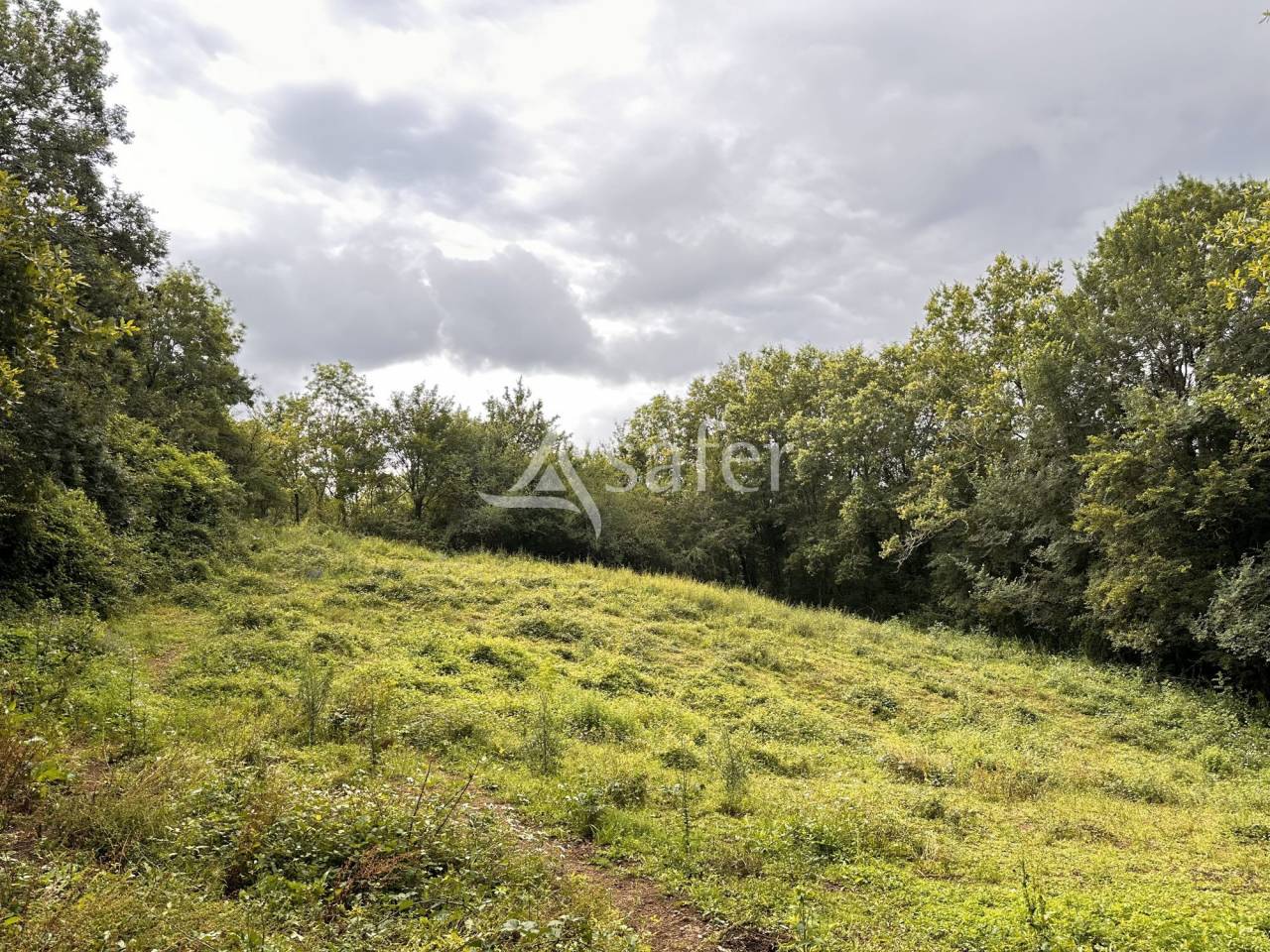 Propiedad rural En venta Charente