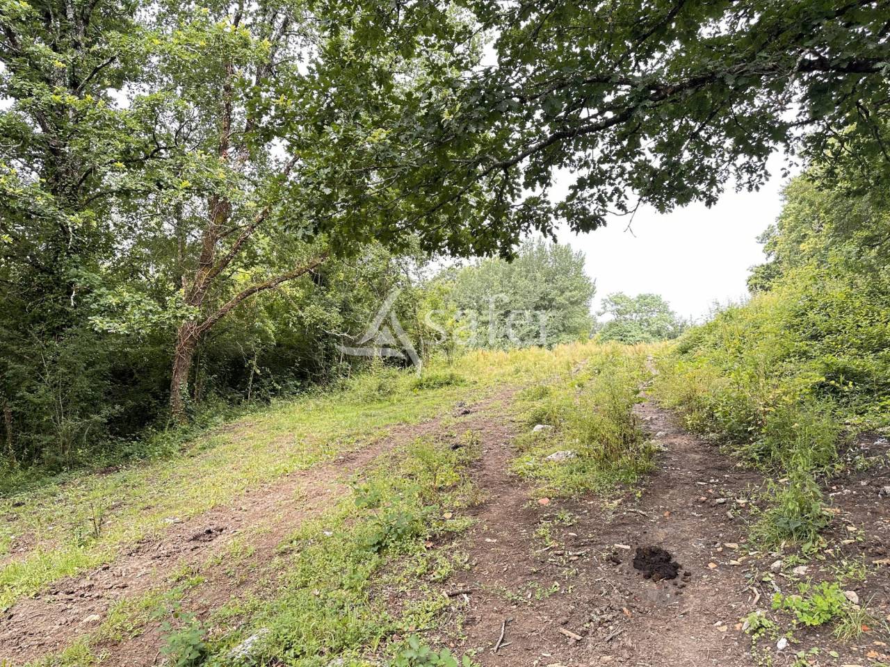 Propiedad rural En venta Charente