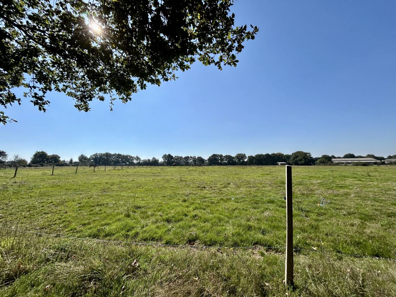 Cuadra de propietarios En venta Loira Atlántico