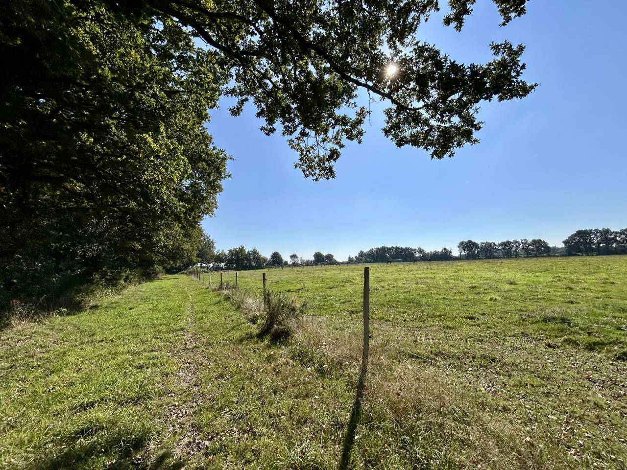 Cuadra de propietarios En venta Loira Atlántico