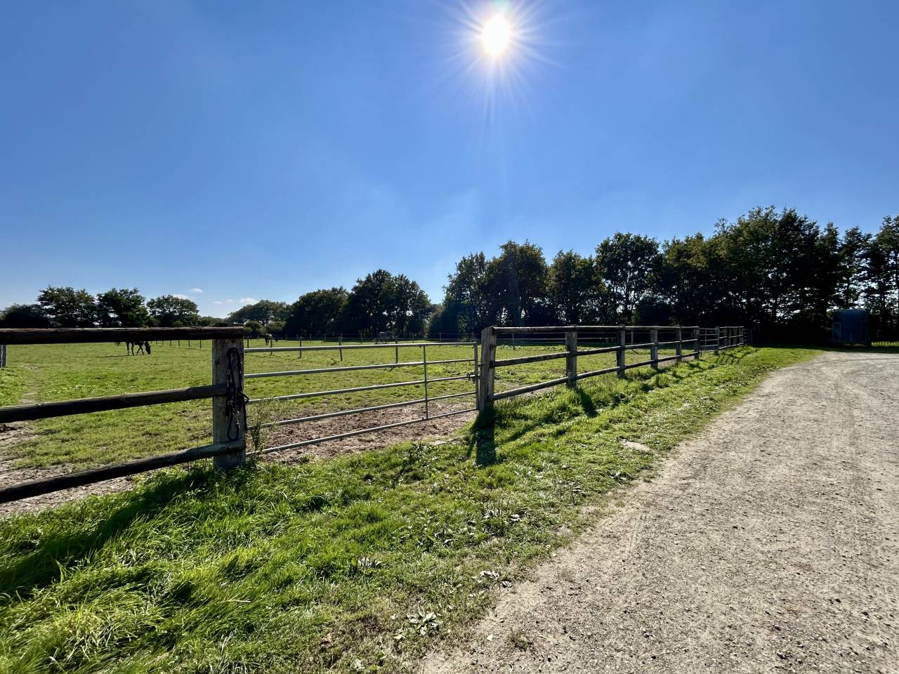 Cuadra de propietarios En venta Loira Atlántico