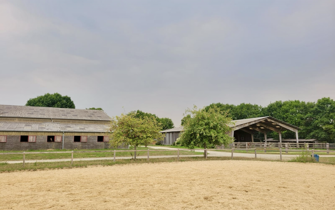 Cuadra de propietarios En venta Loira Atlántico