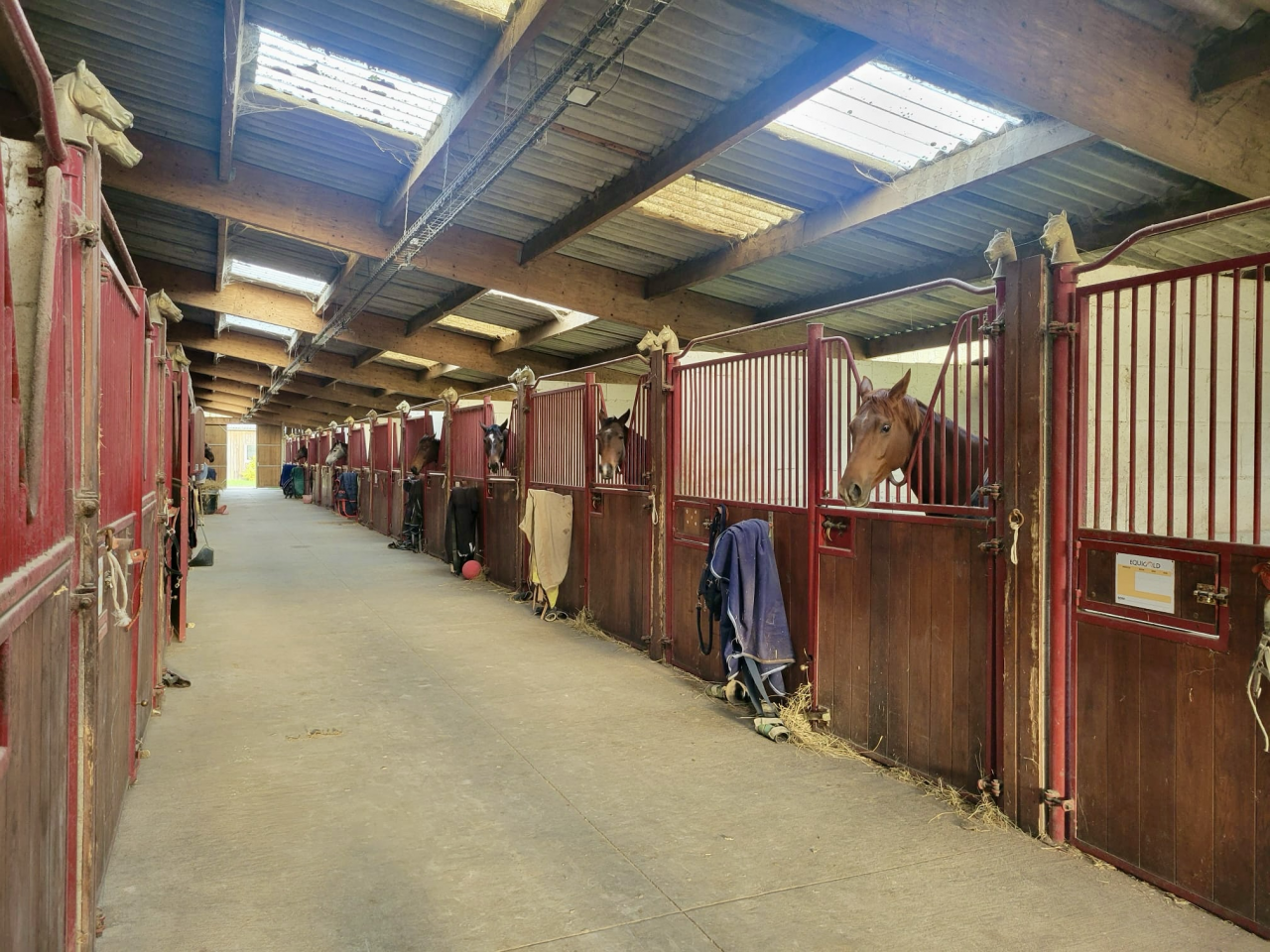 Cuadra de propietarios En venta Loira Atlántico