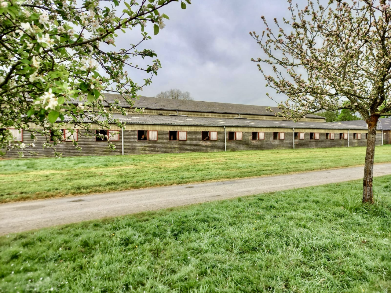 Cuadra de propietarios En venta Loira Atlántico