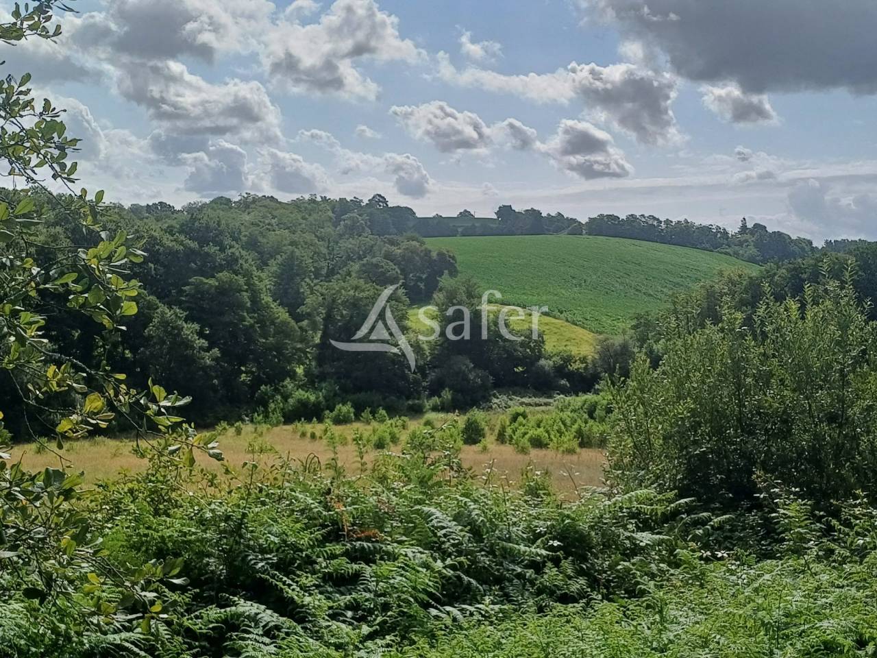 Explotación agrícola En venta Landas