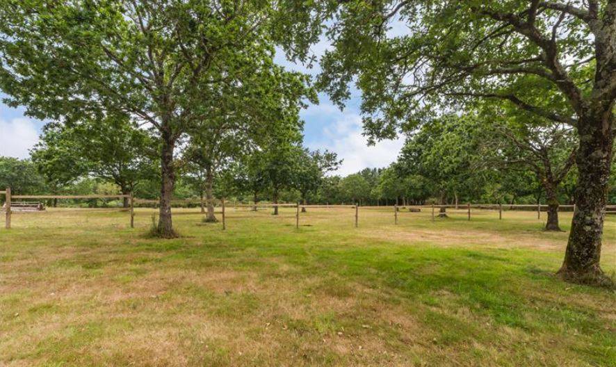 Bonita residencia ecuestre En venta Côte d'Armor