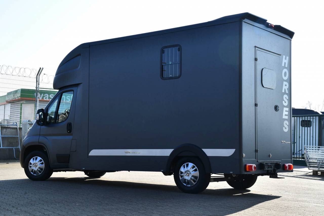Furgoneta para caballos Otra marca PEUGEOT 0 Nuevo