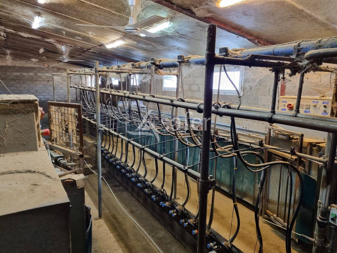 Explotación ovina En venta Tarn y Garona