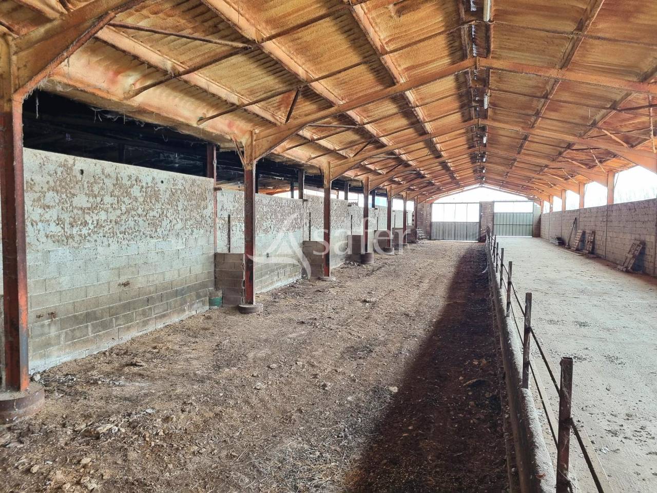 Explotación ovina En venta Tarn y Garona